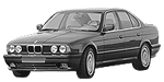 BMW E34 P1A0D Fault Code